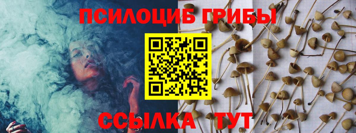 Галлюциногенные грибы прущие грибы Шелехов